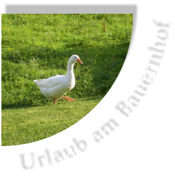 Urlaub am Bauernhof
